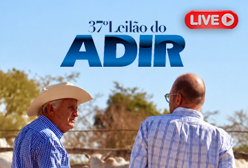 LIVE DE APRESENTAÇÃO DOS ANIMAIS E VENDA -  37º LEILÃO DO ADIR